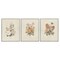Stupell Industries Neutral Bouquet Studies 3pc Framed Giclee Set, design by Dan Meneely